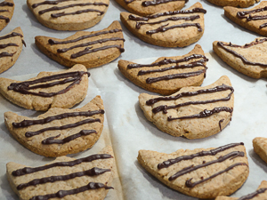 biscotti decorati con cioccolato