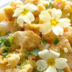 rigatoni con le primule fiori