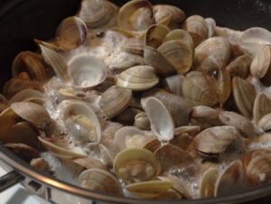 apertura vongole