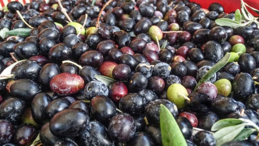 Le alterazioni dell'olio extravergine d'oliva