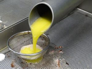 olio d'oliva e olio lampante olio d'oliva e olio lampante