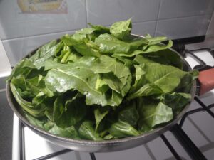 bietole