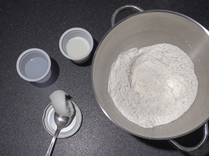 ingredienti impasto panino napoletano