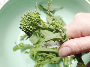 come pulire i broccoli di rapa o friarielli