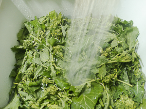 pulire la verdura con acqua