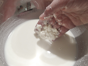 preparazione lievito madre