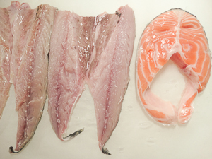 salmone e sgombro