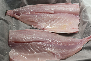 filetti di ricciola