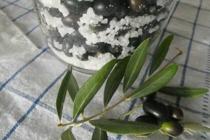 come fare le olive sotto sale - ricetta della nonna
