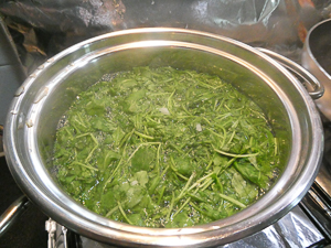 cottura rucola