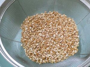 lavare il farro