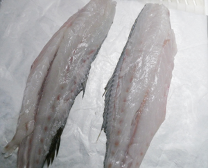 filetti di ombrina