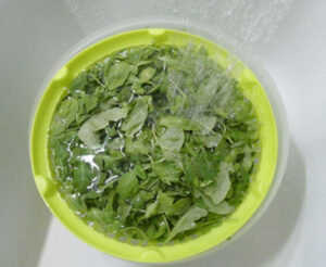 lavare la rucola