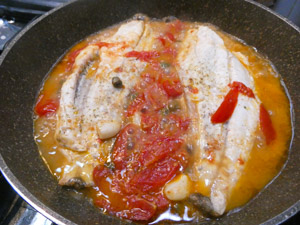 ricetta filetti di ombrina in padella