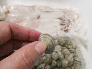 sciacquare vongole e calamari