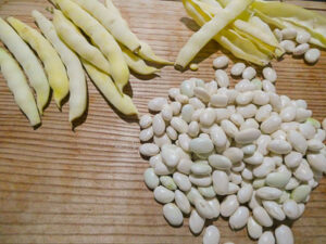 sgranare i fagioli freschi