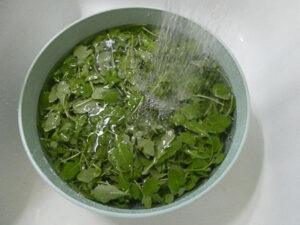 lavare la rucola