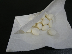 asciugare le mozzarelline con carta