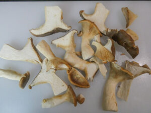 Come Pulire i Funghi Cardoncelli Senza Rovinarli